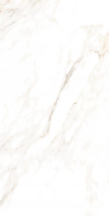 AGL Lusso Staturio Polished 12 x 24
